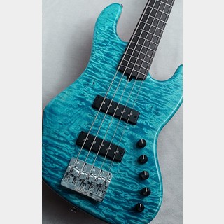 Provision プロビジョン テレキャスター【送料込】 ★値下げ エレキギター、Provisionの検索結果【楽器検索デジマート】