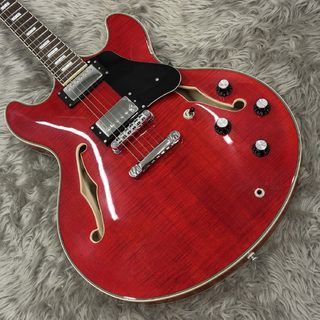 Sire 【中古】Sire H7 STR