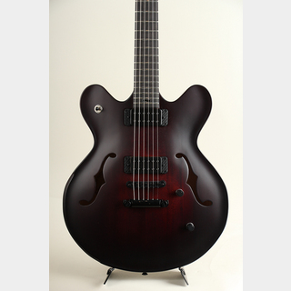 Victor Baker Guitars Model 35 Chambered Semi-hollow Brown Burst smoke stain 2024