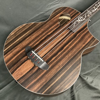 フレットレス アコースティックベース エレアコ Ibanez AEGB24FE MHS エレアコベース フレットレス 限定生産モデル