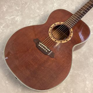 アコースティックギター／エレクトリック・アコースティックギター