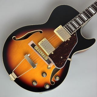 エレクトリックギター ＞ フルアコ、Ibanezの検索結果【楽器検索