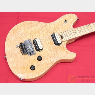 Wash Burnサンバースト エレキギター ハムバッカー フロイドローズ