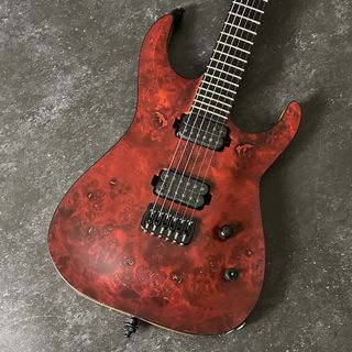 EDWARDS E-HR6-FX/BM【USED】