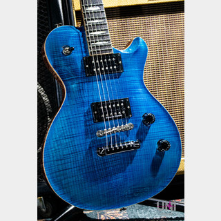 FUJIGEN(FGN) EXPERT FL FM/EB