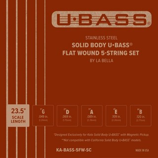 KALAKA-BASS-5FW-SC Stainless Flat Wound