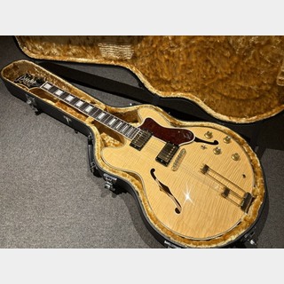 エレクトリックギター ＞ セミアコ、Epiphoneの検索結果【楽器検索