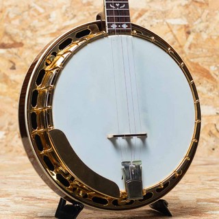 バンジョーの検索結果【楽器検索デジマート】