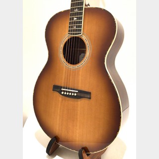 アコースティックギター／エレクトリック・アコースティックギター