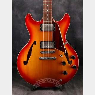 Bacchus2000s AXM Standard