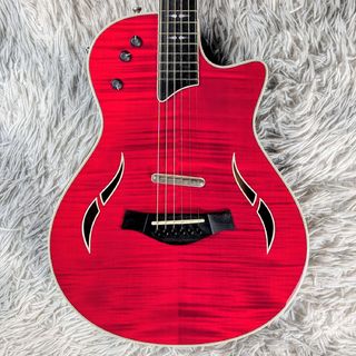 Taylor、T5 - T5zの検索結果【楽器検索デジマート】
