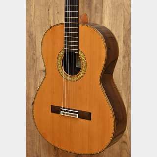 Juan Hernandez Concierto 杉 2021年中古【スペイン製】