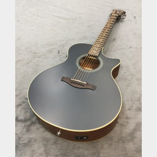 Ibanez エレアコギター　AEC24Ⅱ ソフトケース付美品1948-06-1 Ibanez エレアコギター AEC24Ⅱ ソフトケース付美品1948-06-1