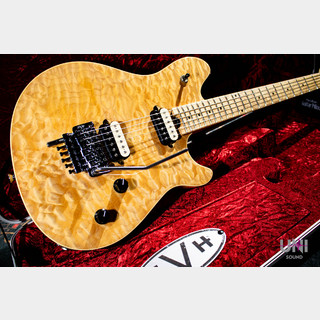 EVH Wolfgang Special / 2012