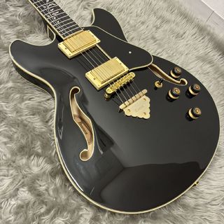 エレクトリックギター ＞ セミアコ、Ibanezの検索結果【楽器検索