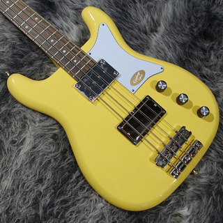 Epiphone Newport Bass Sunset Yellow