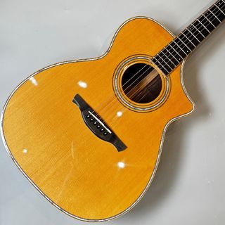 アコースティックギター／エレクトリック・アコースティックギター
