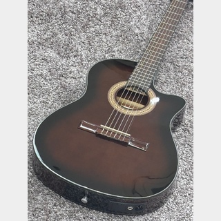 Ibanez GA30TCE / DVS