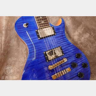 Paul Reed Smith(PRS)SE McCarty