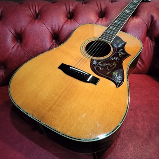 アコースティックギター／エレクトリック・アコースティックギター