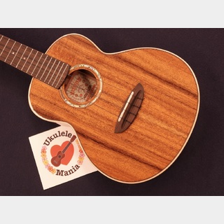 aNueNue AAA2 Solid Acacia Gloss Concert with Paua Shell Rosette Ukulele #5432 