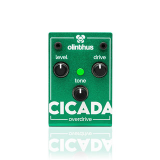 Olinthus CICADA【世界最小のTS系エフェクター】
