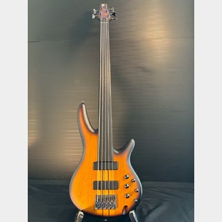 スルーネック 5弦の検索結果【楽器検索デジマート】