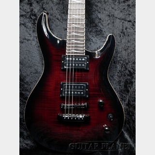 FUJIGEN(FGN) EEL-FM BCS