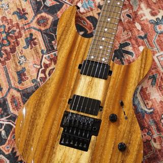 エレクトリックギター ＞ その他の検索結果【楽器検索デジマート】