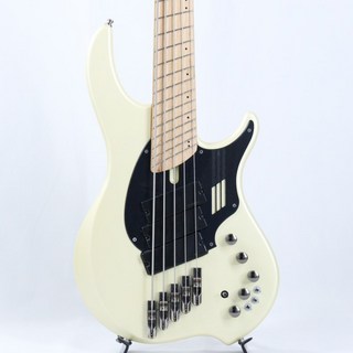 DINGWALL 【USED】 NG-2 5st 3PU Modified (Ducati Pearl White)