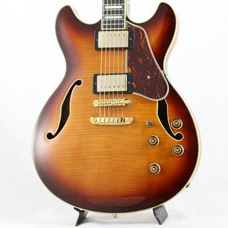 Ibanez セミアコースティックギター サンバースト Ibanez セミアコースティックギター サンバースト - メルカリ