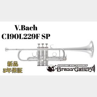 管楽器・吹奏楽器、Bachの検索結果【楽器検索デジマート】