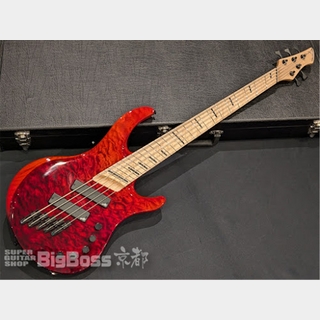 Acacia Guitars Atlas 5strings / Red Dip