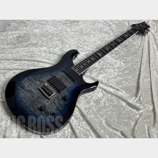 Paul Reed Smith(PRS) SE MARK HOLCOMB(Holcomb Blue Burst) #G095073