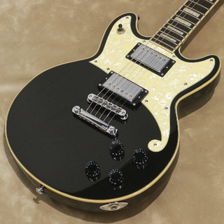 D'Angelico Premier Series Premier Brighton, Black Flake