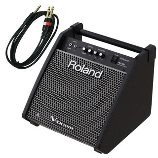 Roland PM-100 [ Personal Monitor 3m接続ケーブル付き]【数量限定アウトレット特価 クリスマスセール!!】