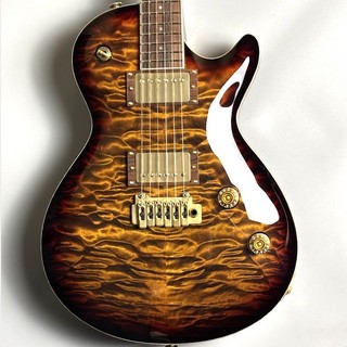 エレクトリックギター、T's Guitars、Arcの検索結果【楽器検索デジマート】