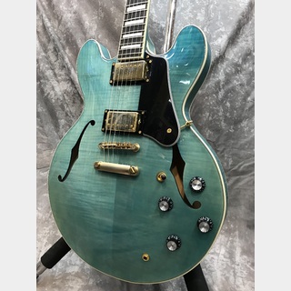 エレクトリックギター ＞ セミアコの検索結果【楽器検索デジマート】