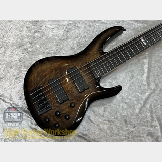 E-II BTL-5 【Black Natural Burst】