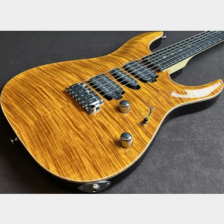 T's Guitars DST-24 Carved Custom Order Model