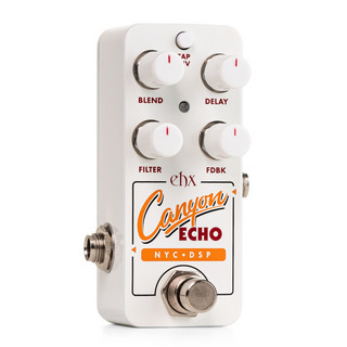 Electro-Harmonix PICO CANYON ECHO
