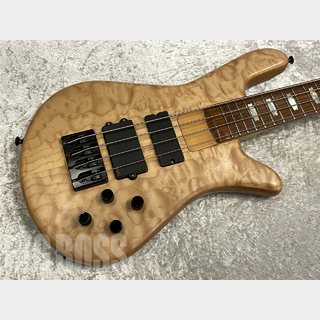 Spector USA Series NS4H2【Natural】