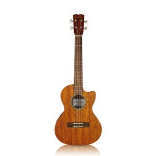 Cordoba テナーウクレレ TENOR 20TM-CE / Mahogany