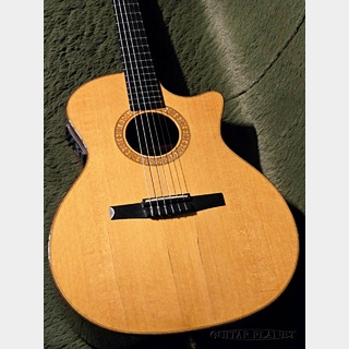 Taylor NS74ce w/Fishman Prefix ProBlend -2006USED!!-【金利0%対象】