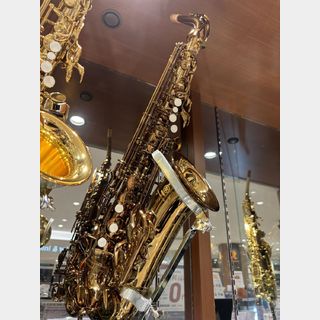 サックス/サクソフォン/サキソフォン > アルト・サックス サックス/サクソフォン/サキソフォン > アルト・サックス