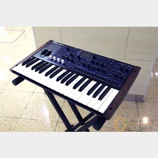KORG Multi/Poly 37 [SL021]【神戸店在庫】