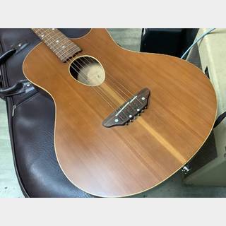 アコースティックギター／エレクトリック・アコースティックギター