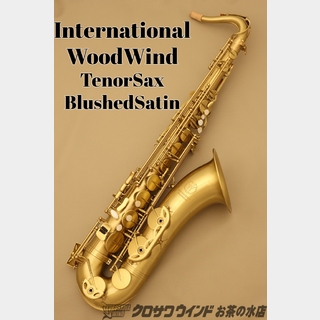 最安値に挑戦 Drake Son Of Slant Jazz Tenor テナーサックス Sosjt 新品 サックス専門店 サキソフォン ラボ在庫品 新品 Www Topchiangrai Com