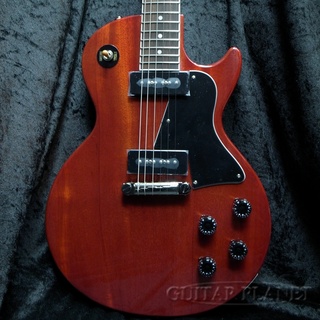 tokai lssの検索結果【楽器検索デジマート】