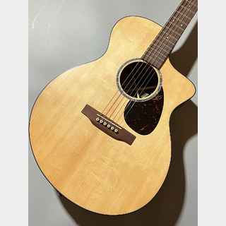 Martin、SC-10Eの検索結果【楽器検索デジマート】